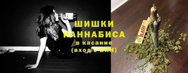 спайс Ельня