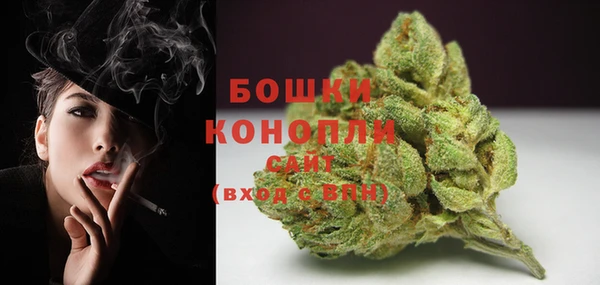спайс Ельня