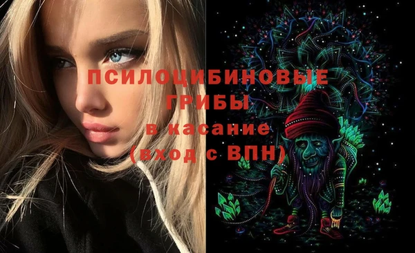 метадон Елизово