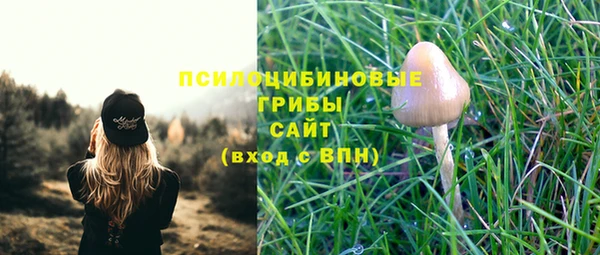 не бодяженный Елабуга