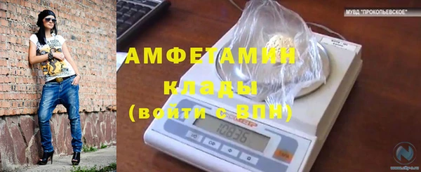 метадон Елизово