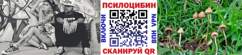 Галлюциногенные грибы Magic Shrooms  Купить  Покров 
